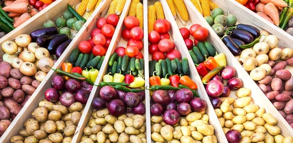 Сельское хозяйство собирает различные красочные свежие овощи на f — стоковое фото
