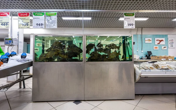 Pescado vivo listo para la venta en el supermercado —  Fotos de Stock