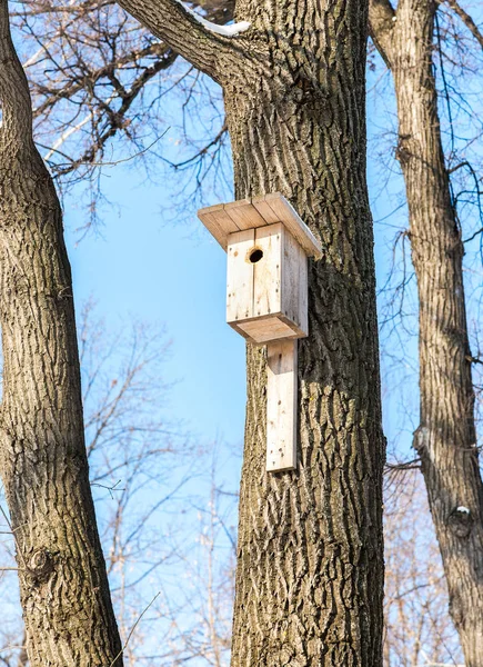 冬季公园大树上的木制鸟笼 — 图库照片