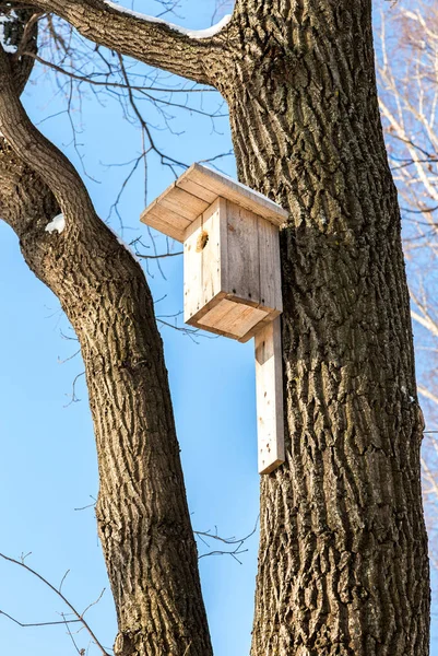冬季公园大树上的木制鸟笼 — 图库照片