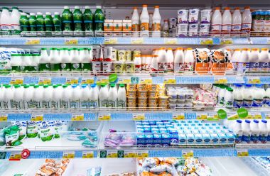 Taze süt ve süt ürünleri hazır Satılık süpermarket