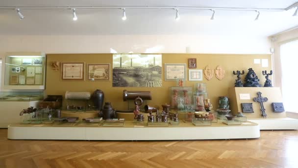 Borovichi Rusia Agosto 2017 Interior Una Las Salas Del Museo — Vídeo de stock