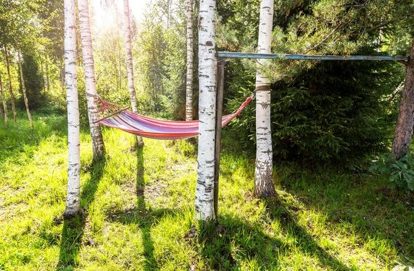 Hängematte hängt im Sommer in den Birken — Stockfoto