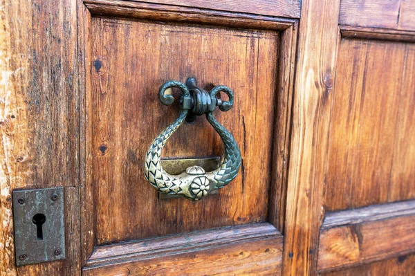 Dřevěné dveře s klikou z bronzu — Stock fotografie