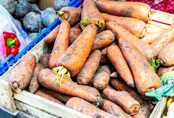 Carottes biologiques fraîches mûres prêtes à la vente — Photo