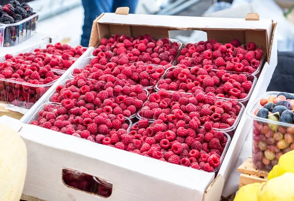 Süße frische Himbeeren der neuen Ernte zum Verkauf bereit — Stockfoto