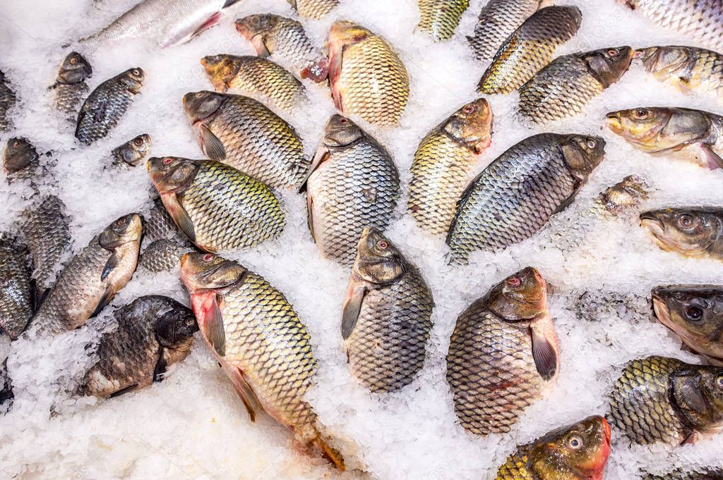 Raw fresh fish on the ice