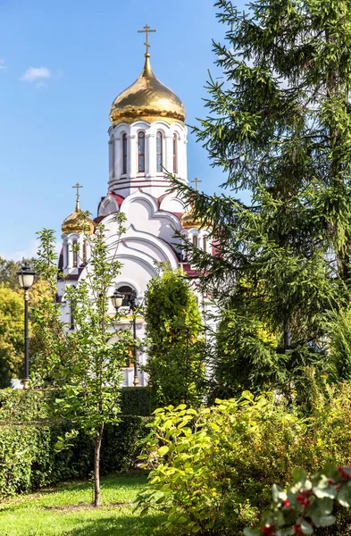 Bäume wachsen auf dem Hintergrund der orthodoxen Kirche — Stockfoto