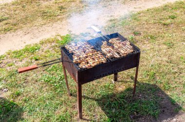 Izgarada leziz ızgara tavuk eti ile barbekü. Shashlik dışarıda kömür pişiriyor, sokak yemeği yapıyor.
