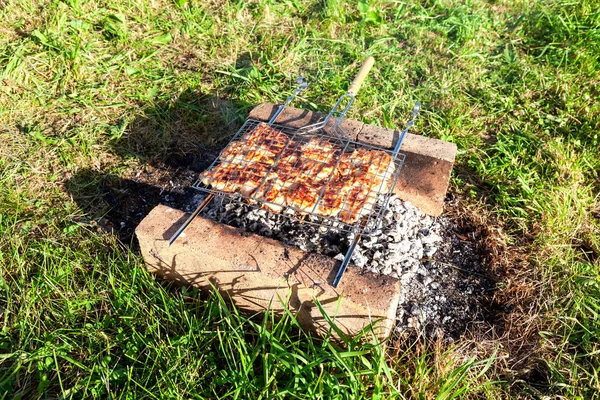 Barbecue Con Deliziosa Carne Pollo Alla Griglia Sulla Griglia Shashlik — Foto Stock