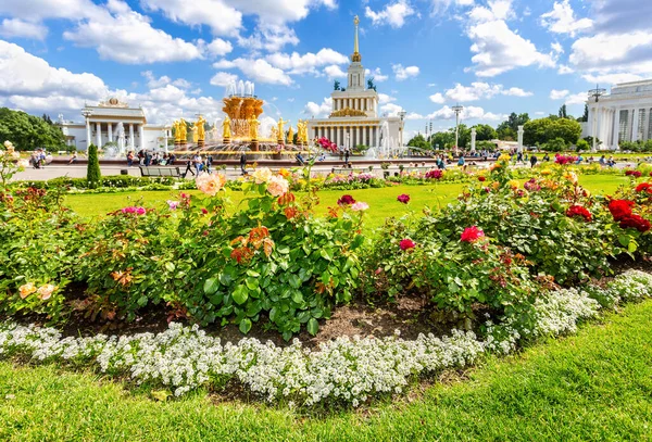 モスクワ ロシア 2019年7月8日 背景噴水を背景にバラの花 人々の友情 と全ロシア展示センター Vdnkh の本館 — ストック写真