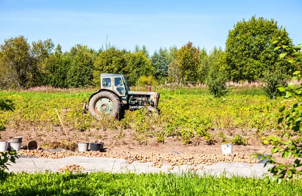 Old Wheeled Agricultural Tractor Working Potato Plantation Summertime — Stock Photo, Image