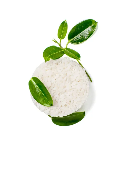 Arroz e folhas de uma planta verde jovem em um fundo branco — Fotografia de Stock