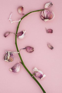 Soyut kompozisyon: üzerinde yeşil bir şube büyüyor sarımsak karanfil