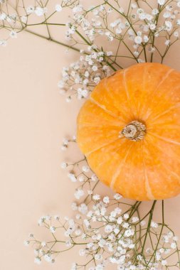 Turuncu kabak yakın çekim yan hafif bej pastel backgro