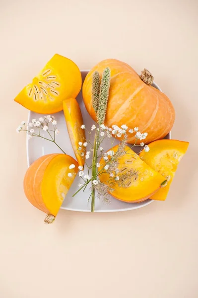 Trozos de calabaza naranja fresca y flores secas en una parcela blanca — Foto de Stock