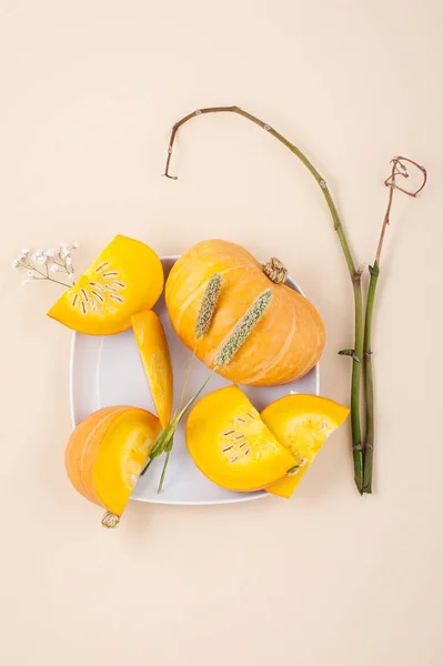 हलके बेज पेस्टल वर ताजे नारंगी कट पंपकिन आणि वाळलेल्या वनस्पती — स्टॉक फोटो, इमेज