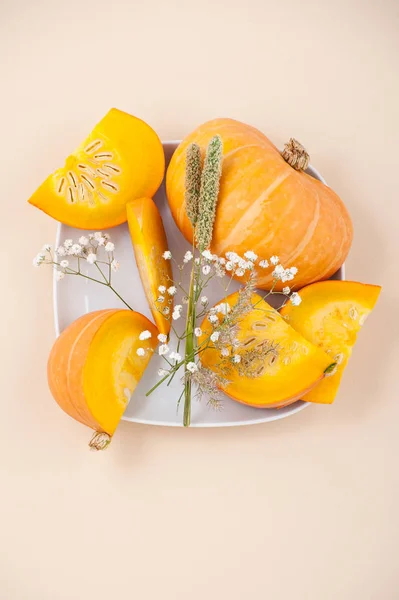 Kousky čerstvého oranžové dýně a sušených květů na bílém plat Royalty Free Stock Obrázky