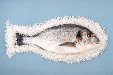 Dorado balık üzerinde bir açık mavi renkli üzerinde büyük deniz tuzu