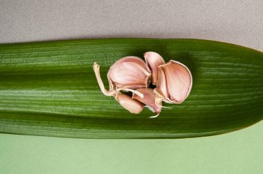 Üzerindeki yeşil dokulu tropikal yaprak diş sarımsak