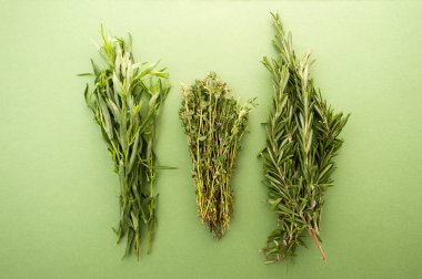 Tarhun, kekik ve biberiye pastel yeşil bir arka plan üzerinde