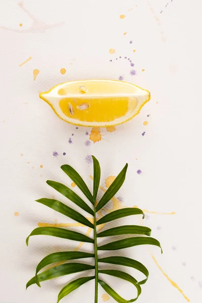 Una rebanada de limón y una hoja de una planta tropical yacen en blanco wat — Foto de Stock