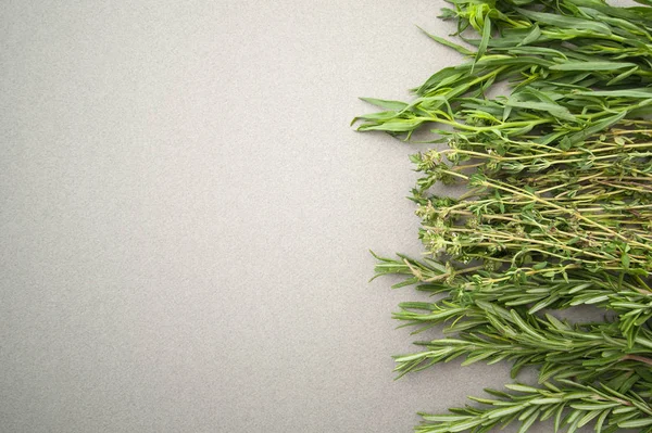 Kořeněné bylinkami na šedém pozadí pastelové — Stock fotografie