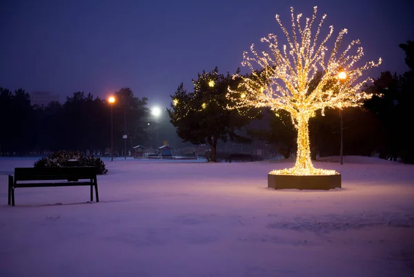 Árbol de Navidad luces de oro —  Fotos de Stock