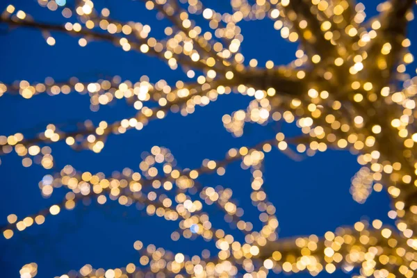 クリスマスツリー上の金色の光 — ストック写真