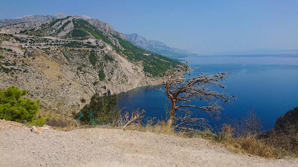 Βραχώδης παραλία, βουί διαφανή θάλασσα — Φωτογραφία Αρχείου