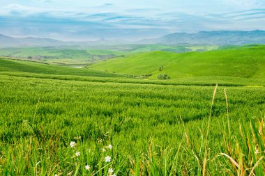 Toskana güzel bahar froggy manzara