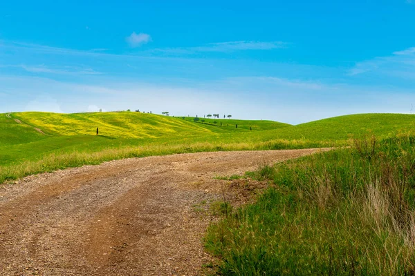 Carretera sinuosa en Tuscana, Italia —  Fotos de Stock