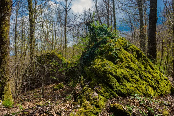 Pedra grande com musgo na Montanha Amiata, Toscana — Fotografia de Stock