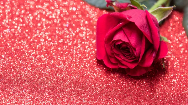 Rosa sobre fundo abstrato vermelho com bokeh — Fotografia de Stock