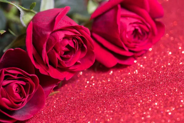 Roses over red abstract background with bokeh — Stock Photo, Image
