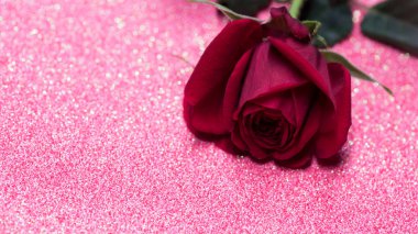 Bokeh ile pembe soyut arkaplan üzerinde gül