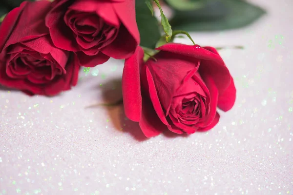 Розы на абстрактном фоне с боке — стоковое фото