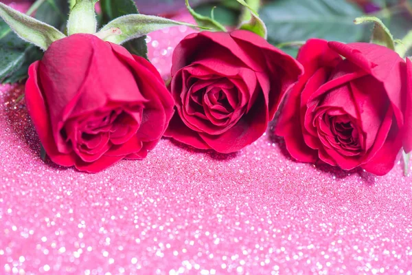 Roses over pink abstract background with bokeh — Stock Photo, Image