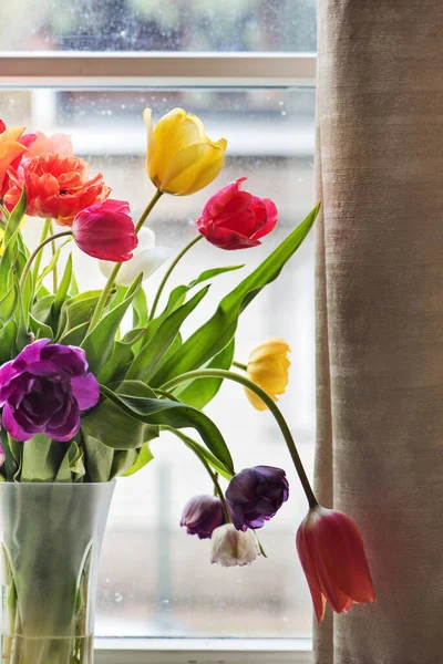 Tulipani Multicolori Vaso Finestra Sullo Sfondo — Foto Stock