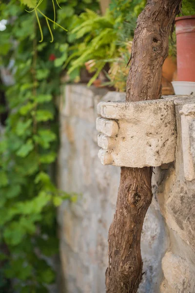 Construcción de piedra antigua con tronco de árbol —  Fotos de Stock