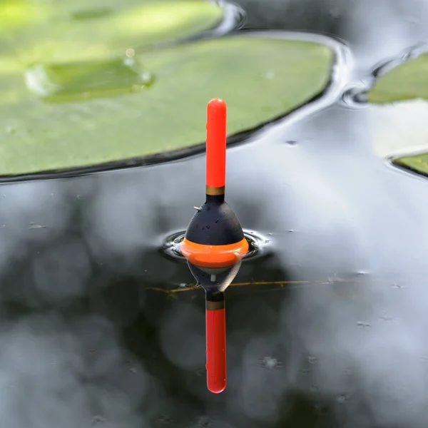 Float fiske i dammen — Stockfoto