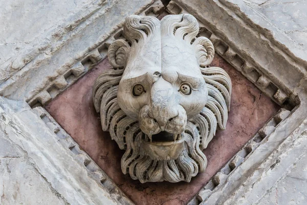 Глава льва, вырезанного в мраморе на фасаде Баптистерия Сиенского собора, Италия — стоковое фото