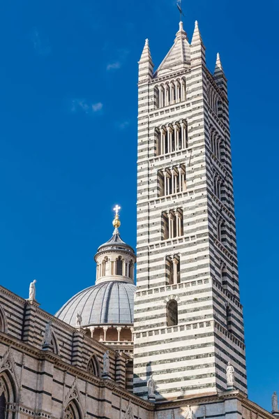 Сиенский купол (Duomo di Siena), Италия — стоковое фото