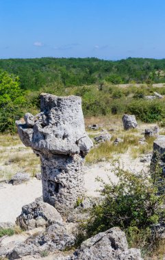Taş orman ve Dikilitash, Varna, Bulgaristan yakınındaki kutsal bir yerde doğal dönüm noktası olarak bilinen doğal olay Pobiti Kamani,