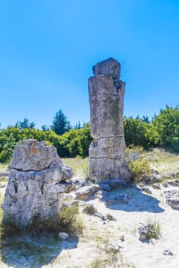 Doğal olay Pobiti Kamani, taş orman olarak bilinir. Varna, Bulgaristan