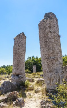 Doğal olay Pobiti Kamani, taş orman olarak bilinir. Varna, Bulgaristan