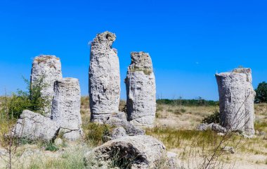 Doğal olay Pobiti Kamani, taş orman olarak bilinir. Varna, Bulgaristan