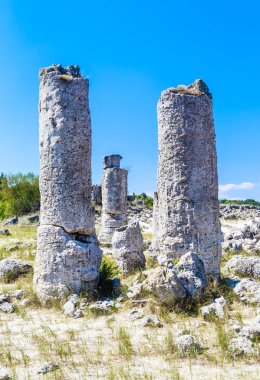 Doğal olay Pobiti Kamani, taş orman olarak bilinir. Varna, Bulgaristan