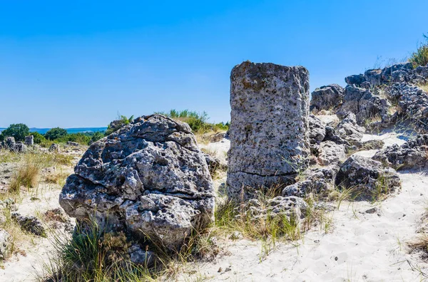 Přírodní úkaz vzdáleného Kamani, známý jako The Stone Forest. Varna, Bulharsko — Stock fotografie