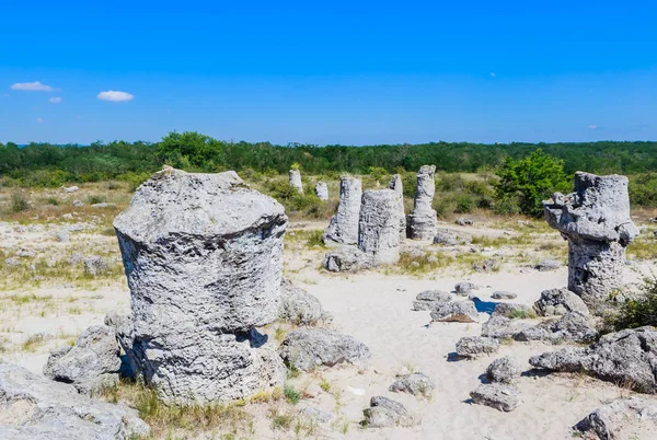 自然现象 Pobiti 卡玛尼，称为石林。瓦尔纳，保加利亚 — 图库照片